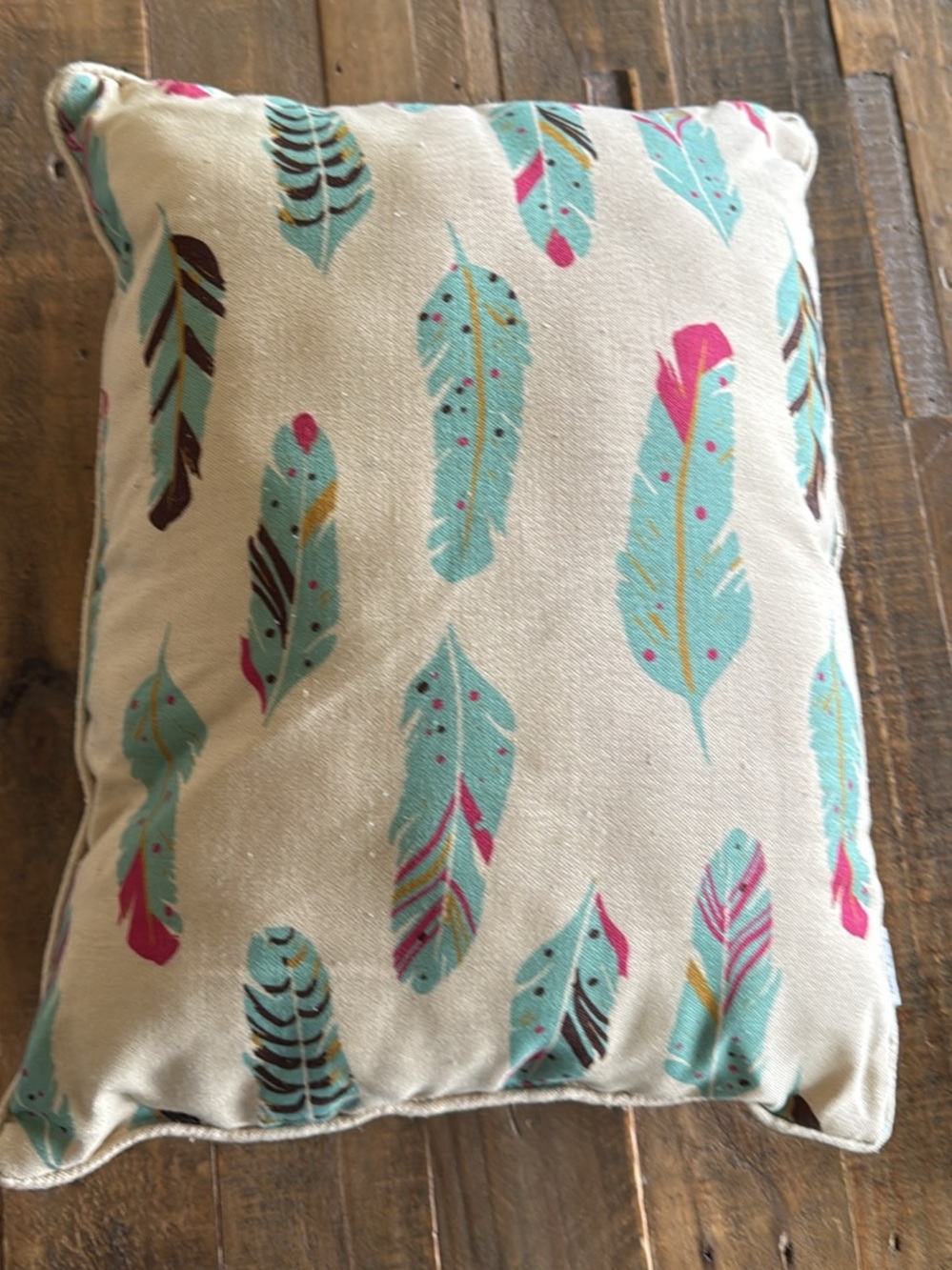 Wild & Free Girls Decorative Pillow